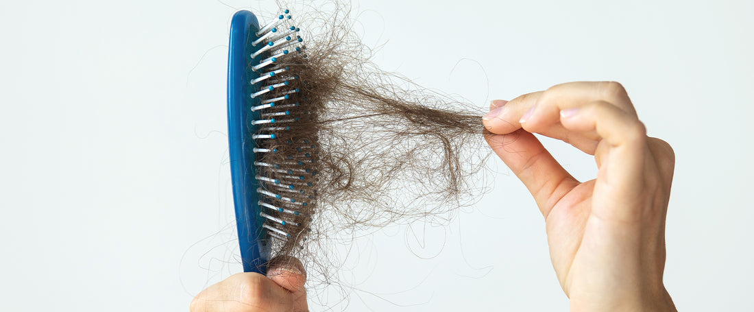 How to control hair fall